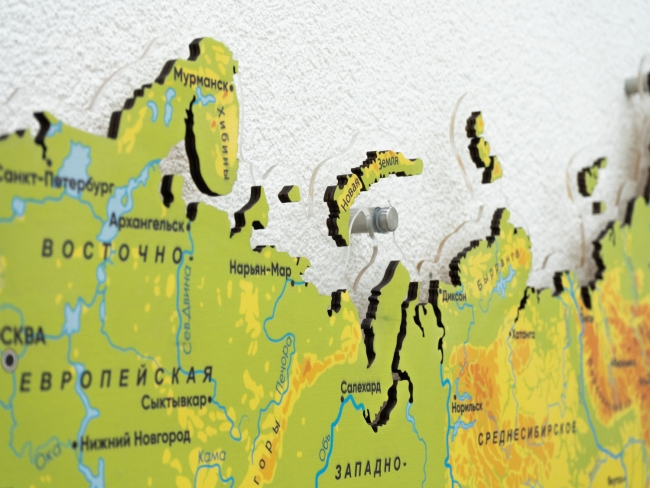 Физическая карта России из дерева на стену "Родина моя"