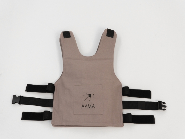 "Утяжелённый жилет" с изменяемым весом от 0.2 до 3.1 кг. для занятий с детьми. 8930.650 "Утяжелённый жилет" с изменяемым весом от 0.2 до 3.1 кг. для занятий с детьми. купить в интерне-магазине Veerdan.ru "Утяжелённый жилет" с изменяемым весом от 0.2 до 3.1 кг. для занятий с детьми.