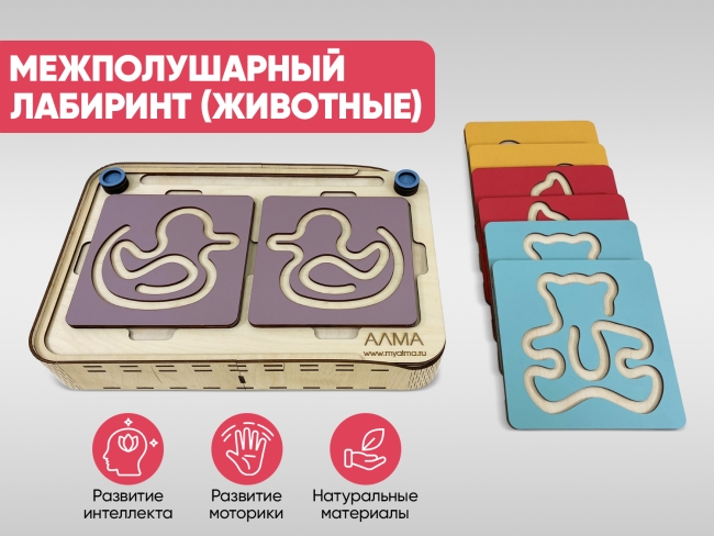 Межполушарный лабиринт (животные) Межполушарный лабиринт (животные)