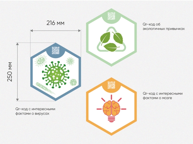 «Стендум - Биология» - набор информационно-методических панелей (10 шт.) «Стендум - Биология» - набор информационно-методических панелей (10 шт.)