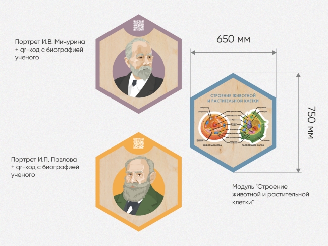«Стендум - Биология» - набор информационно-методических панелей (10 шт.) «Стендум - Биология» - набор информационно-методических панелей (10 шт.)