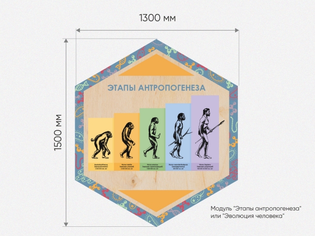 «Стендум - Биология» - набор информационно-методических панелей (10 шт.) «Стендум - Биология» - набор информационно-методических панелей (10 шт.)
