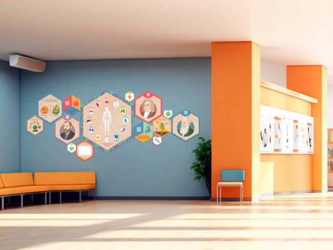 «Стендум - Биология» - набор информационно-методических панелей (14 шт.)