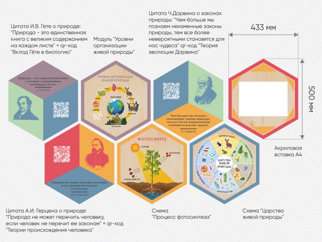 «Стендум - Биология» - набор информационно-методических панелей (18 шт.)