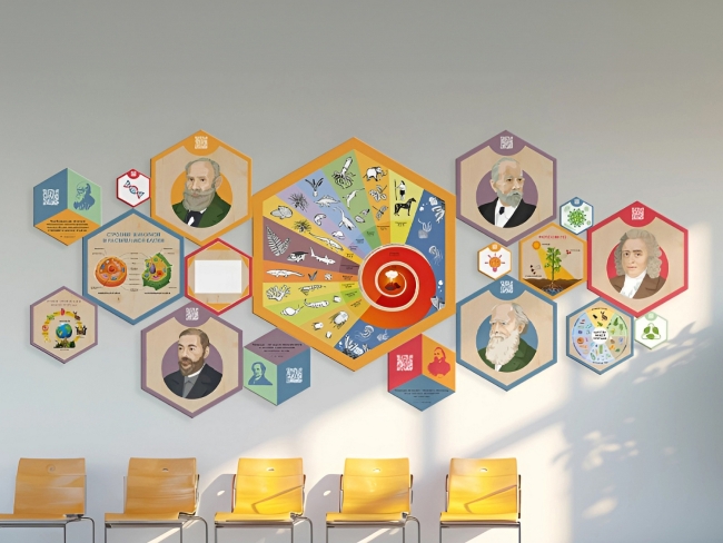 9820.650 «Стендум - Биология» - набор информационно-методических панелей (18 шт.) купить в интерне-магазине Veerdan.ru «Стендум - Биология» - набор информационно-методических панелей (18 шт.)